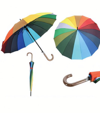 Rainbow Large Wooden Handle Long Umbrella 